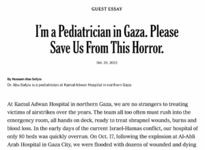 Screenshot des Essays in der NY Times